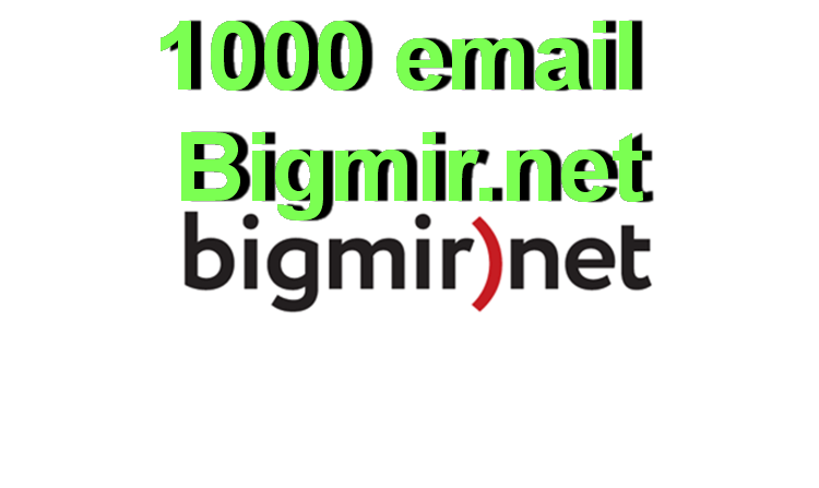 1000 email Bigmir.net POP3