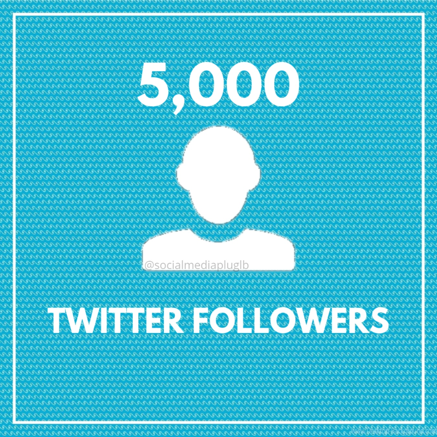 5000 Twitter Followers (HQ)