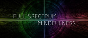 Full Spectrum Mindfulness | Ken Wilber [$175]
