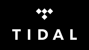 Tidal Upgrade Subscription [12 Months]