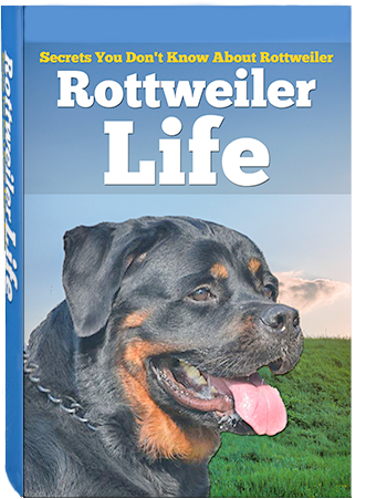 Rottweiler Life E-Book