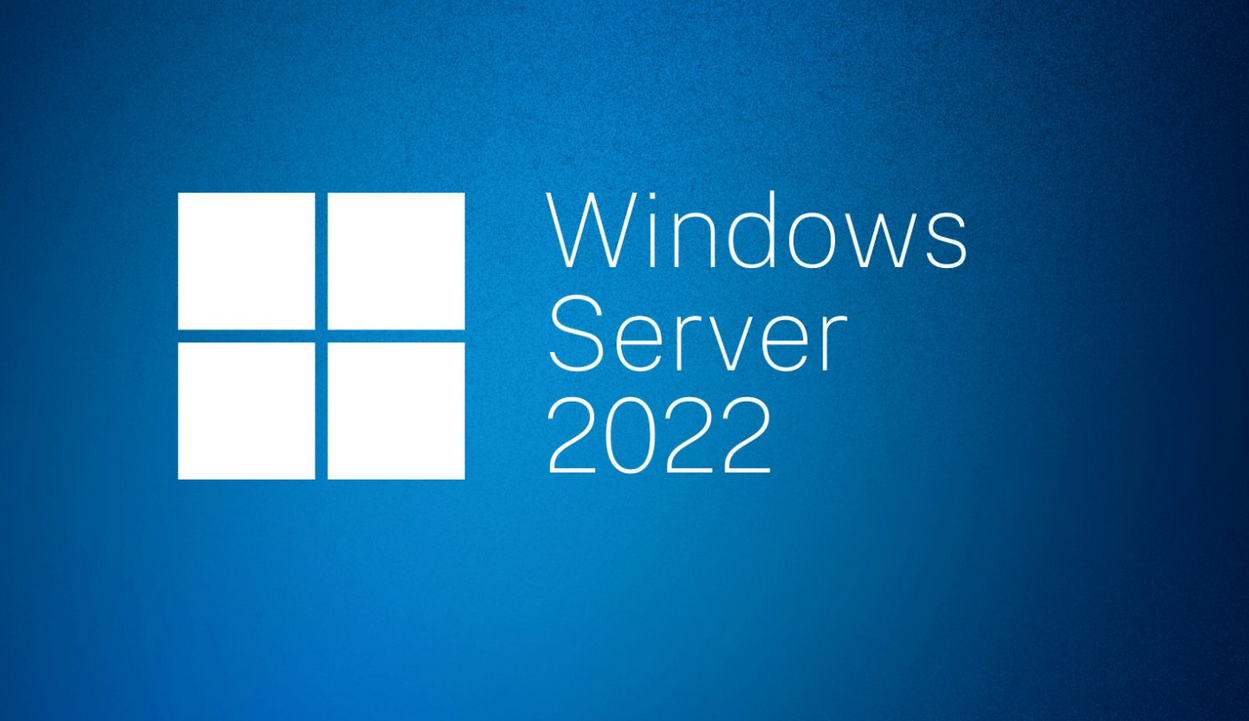 Server 2022 Standard + RDS 50 User/Device CALs (2 keys)
