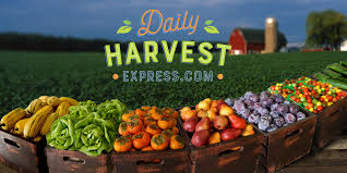 Daily harvest express 400$