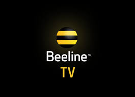 BEELINE TV FOR 3 MONTHS BEELINE TV