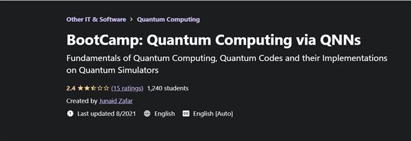 BootCamp Quantum Computing via QNNs