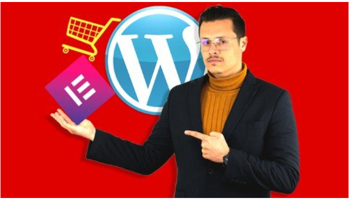 WordPress Elementor WebDesign Make A Pro