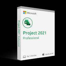 Microsoft Project Professional 2021 (PC)