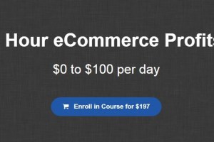 8 Hour eCommerce Profits – $0 to $100 Per Day