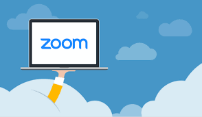 Zoom Pro 1 MONTH ✅ | Hosts up to 100 Participants!