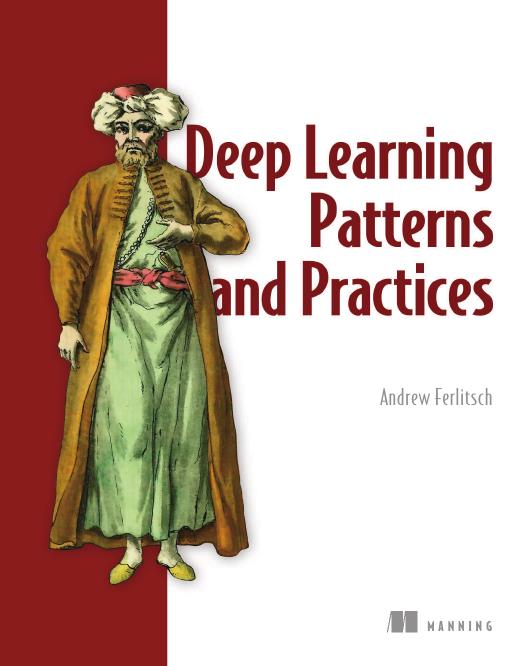 Deep Learning Patterns and Practices Book + Videocruise