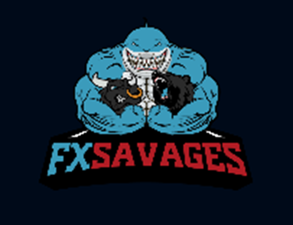 FX Daniel Savage Bundle Forex Trading $429