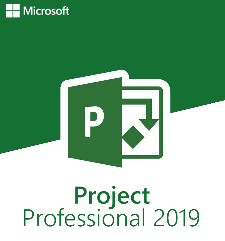 Project 2019 Professional for 2PC