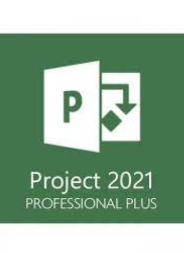 Project 2021 Professional Activation License