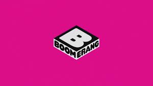 Boomerang | 6 Months Warranty