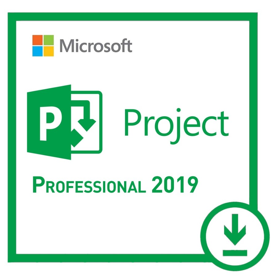Project 2019 Professional License Key