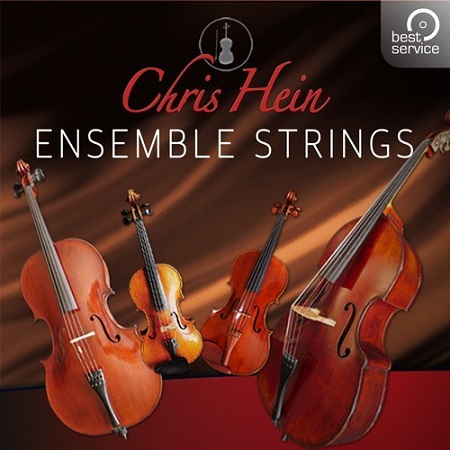 Ensemble Strings is an incredibly detailed, flexible an