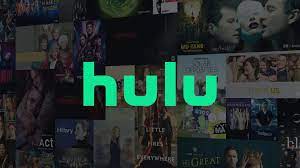 Hulu No Ads 1 Year warranty