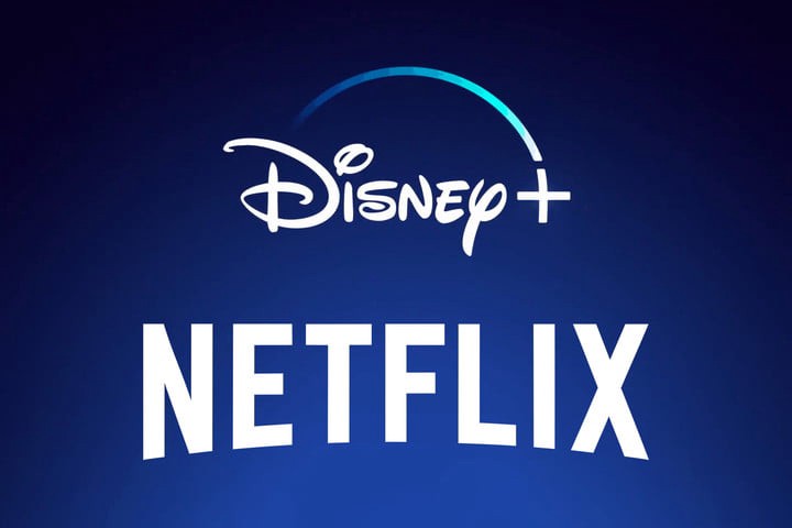 Disney + Netflix Premium Account | 2x