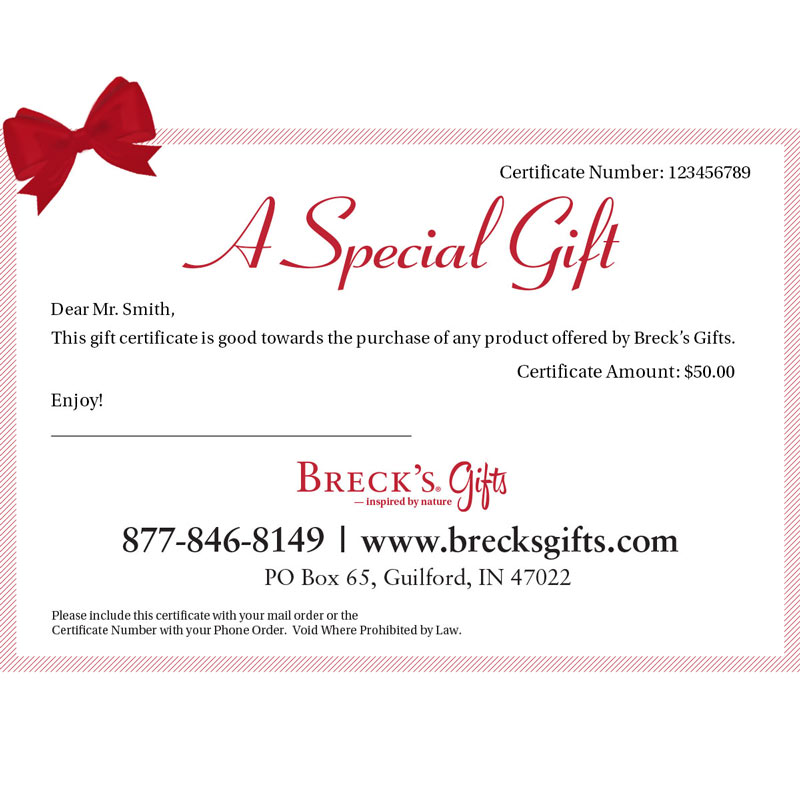 Brecks Gift Card 400$