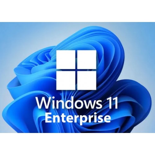 Windows 11 Enterprise License Key