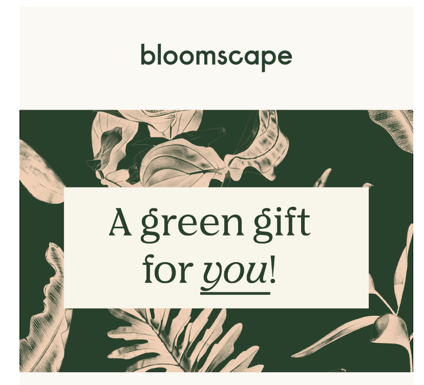 Bloomscape Gift Card $100