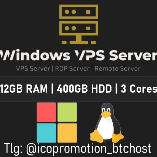 Windows VPS Server 12GB RAM, 400GB HDD – 1 year
