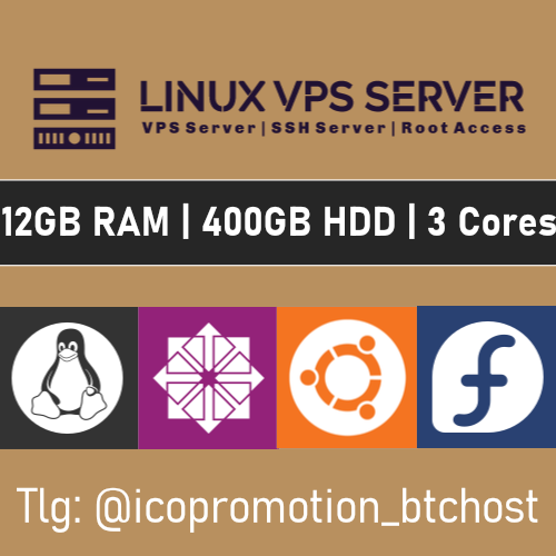 Linux VPS Server 12GB RAM, 400GB HDD – 1 year