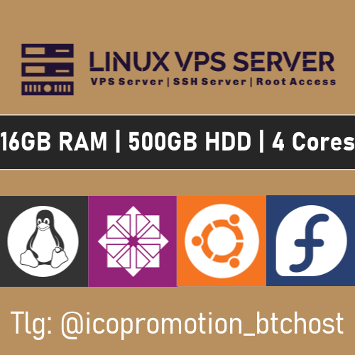 Linux VPS Server 16GB RAM, 500GB HDD – 1 year