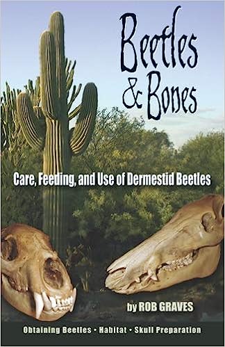 Beetles & Bones: Care, Feeding, and Use of Derme...