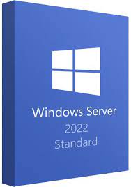 Windows Server 2022 Standard Lifetime Key 1 SERVER