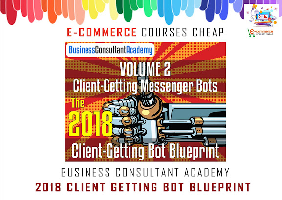 Business Consultant Academy - 2018 Client Getting Bot