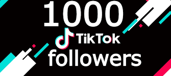 1000 Followers Tiktok Accounts Sale With Orginal Access