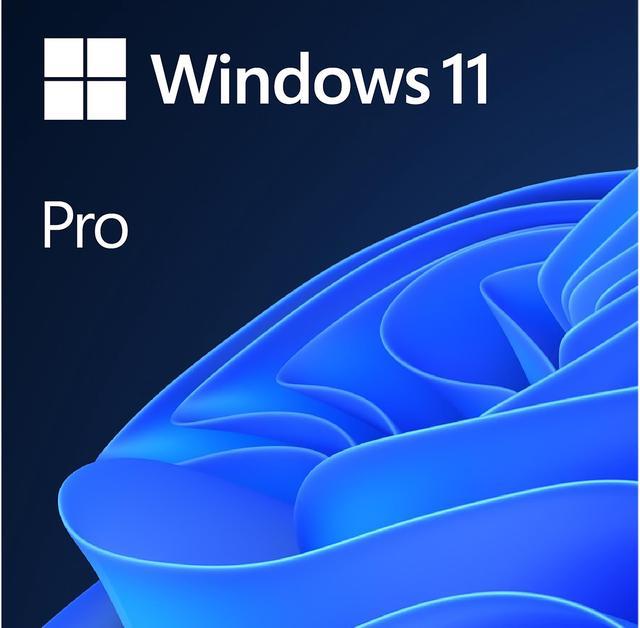 Windows 11 Pro Key – Windows 11 Professional 64 Bi...