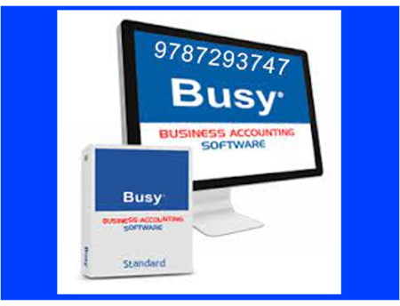 Busy 21 Accounting Software Enterprise Multi-Users