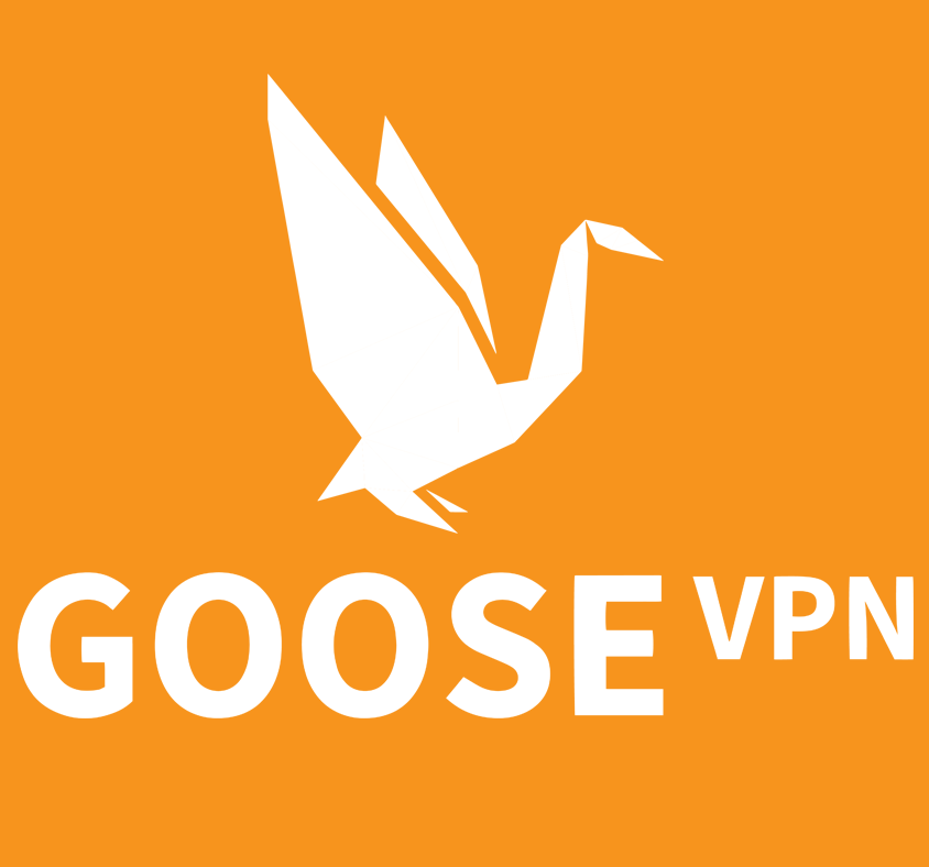 GOOSE VPN Premium Account for 1 Year (Instant Delivery)