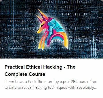 TCM: Practical Ethical Hacking - The Complete Course