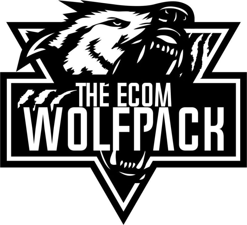 Ecom Wolf Pack – Dropshipping To Branding Course